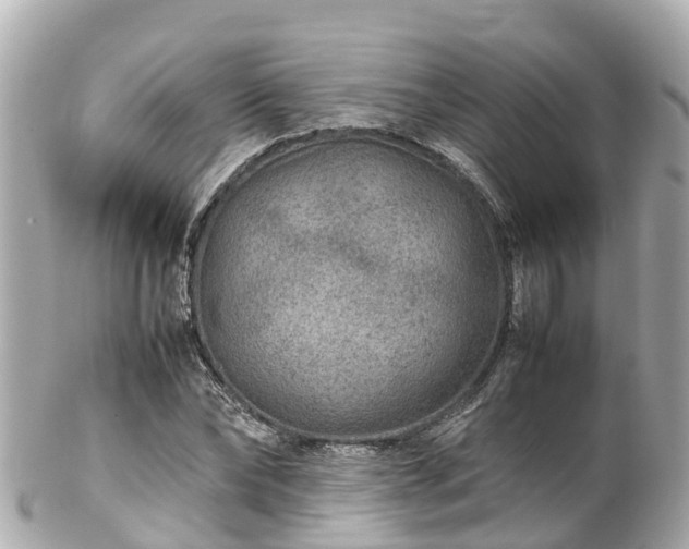 X0000102510878200808151544