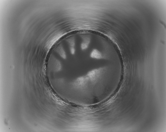 X0000102510879200808151544