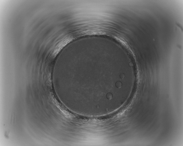 X0000102510881200808151544