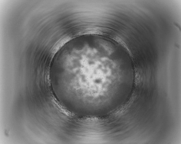 X0000102510882200808151544