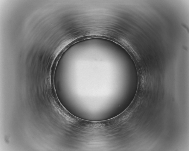 X0000102510884200808151544