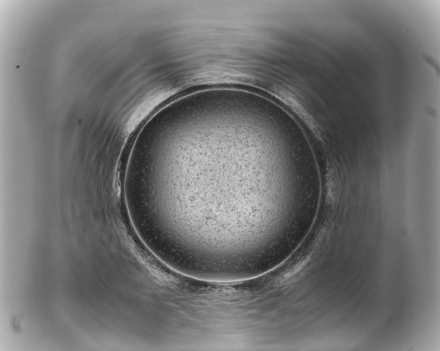 X0000102510885200808151544