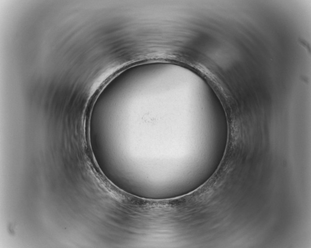 X0000102510886200808151544