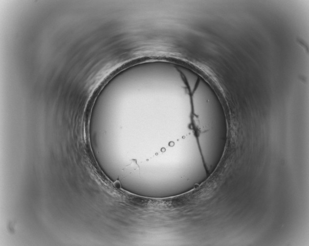 X0000102510887200808151544