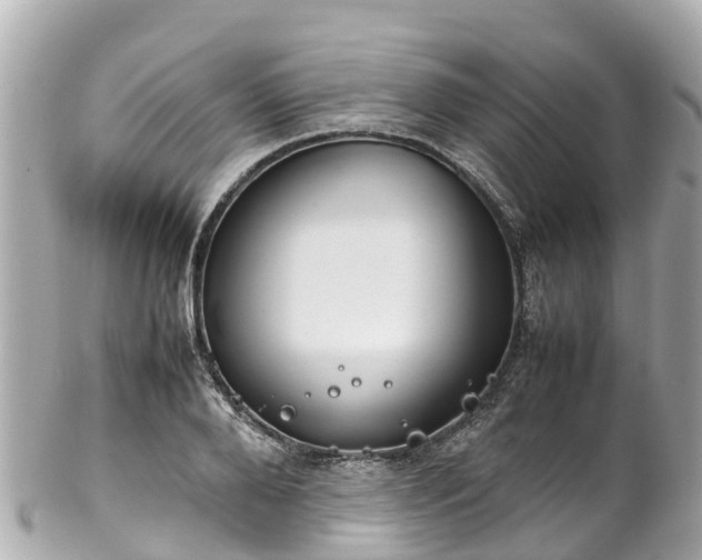 X0000102510888200808151544
