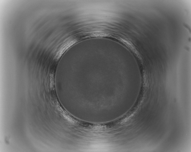 X0000102510889200808151544