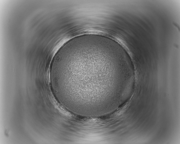 X0000102510891200808151544