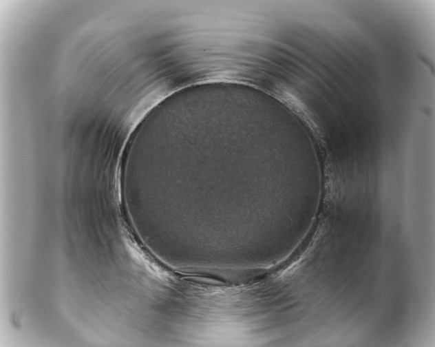 X0000102510892200808151544