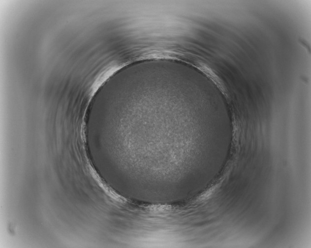X0000102510893200808151544