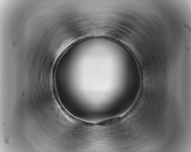 X0000102510894200808151544