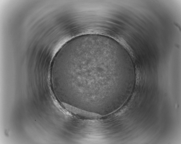X0000102510896200808151544