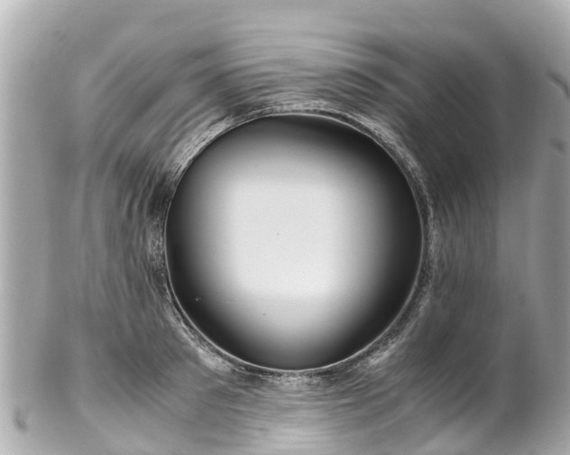 X0000102510897200808151543