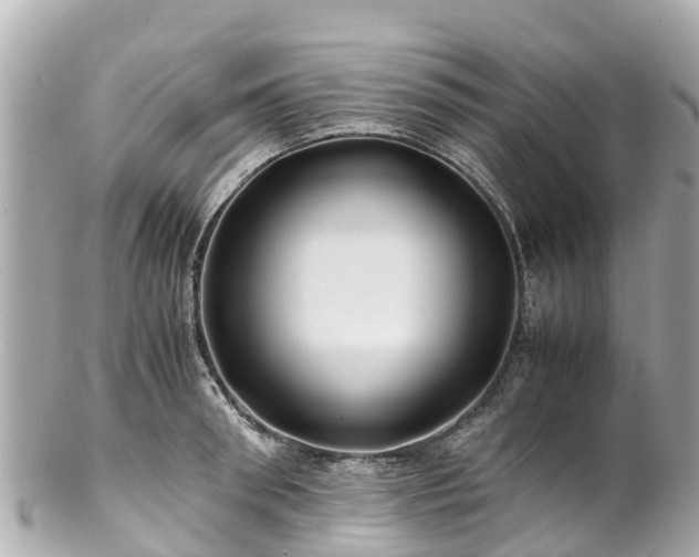 X0000102510898200808151543
