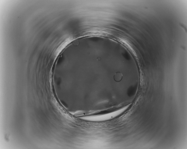 X0000102510899200808151543