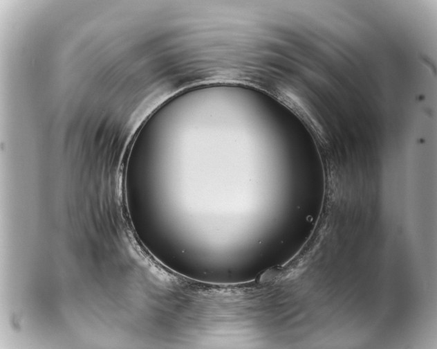 X0000102510900200808151543