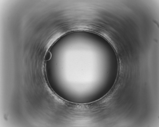 X0000102510901200808151543
