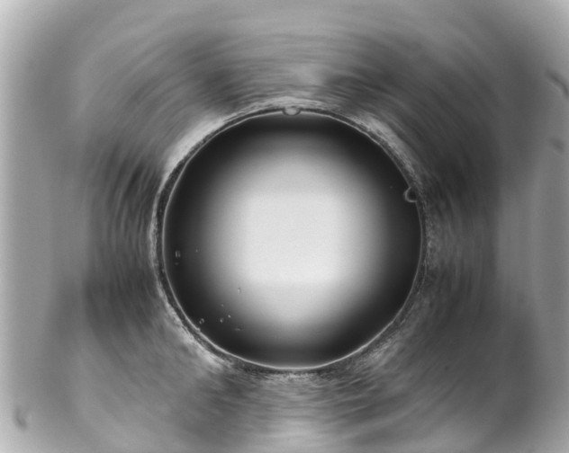 X0000102510902200808151543