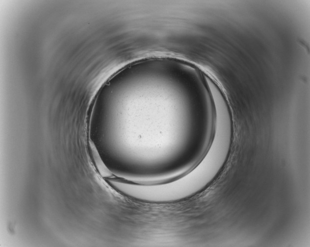 X0000102510903200808151543