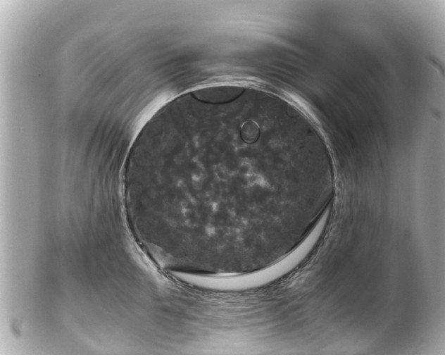 X0000102510907200808151543