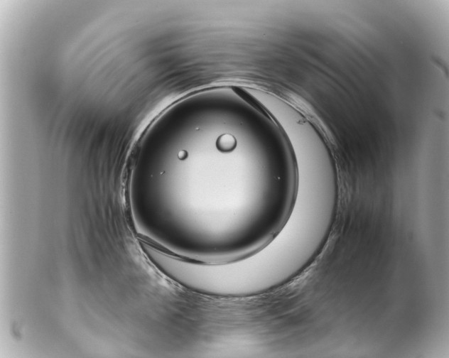 X0000102510908200808151543