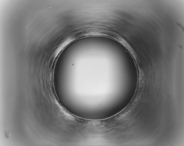 X0000102510909200808151543