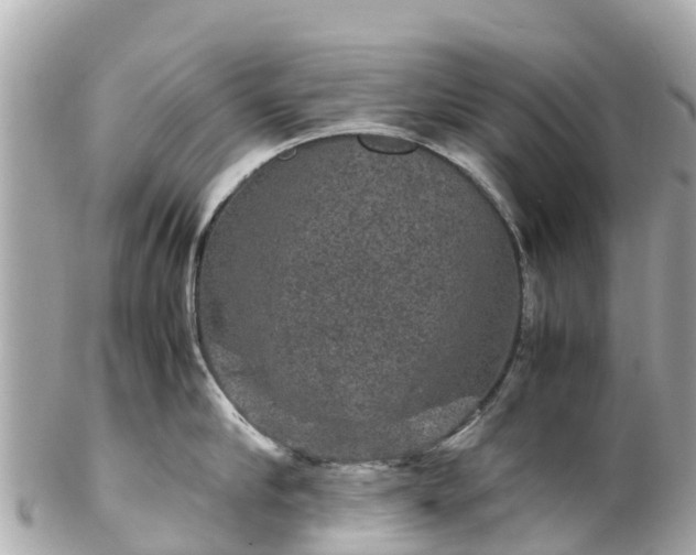 X0000102510910200808151543