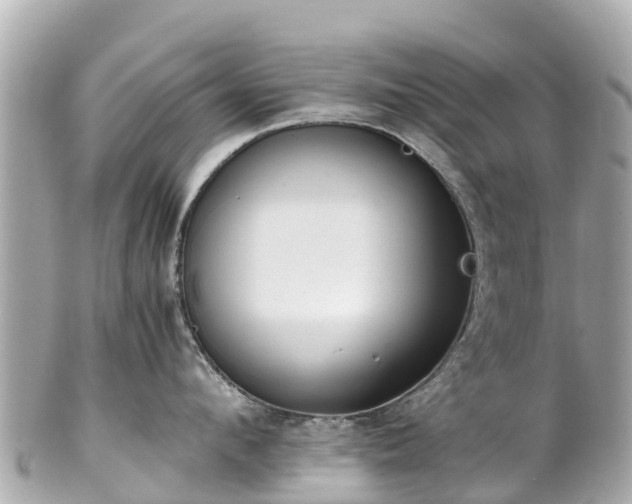 X0000102510912200808151543
