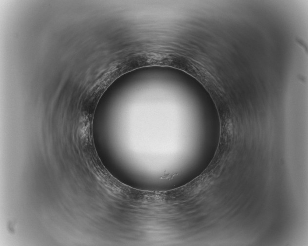 X0000102510914200808151542