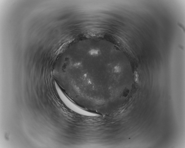X0000102510915200808151542