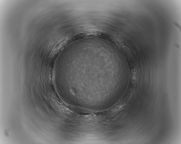 X0000102510916200808151542