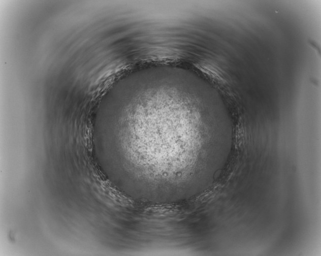 X0000102510917200808151542