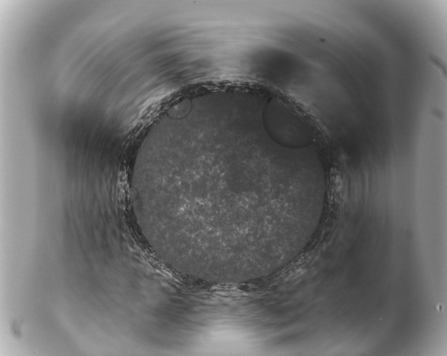 X0000102510918200808151542
