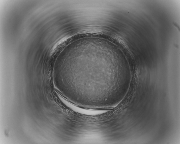X0000102510920200808151542