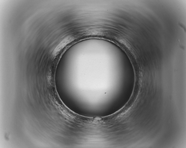 X0000102510922200808151542