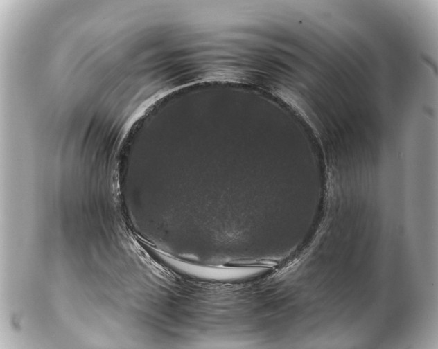 X0000102510923200808151542
