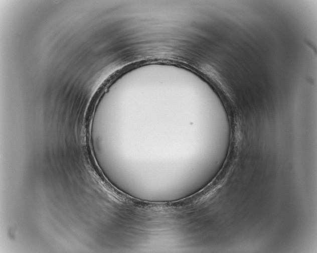 X0000102510924200808151542