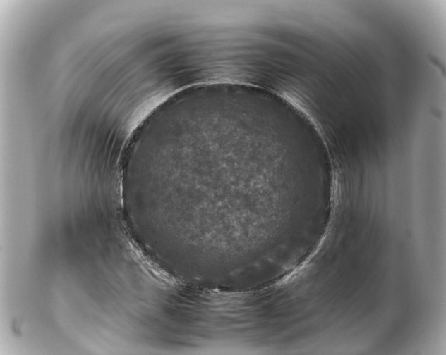 X0000102510925200808151542