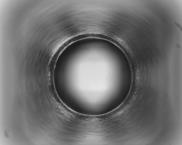 X0000102510926200808151542