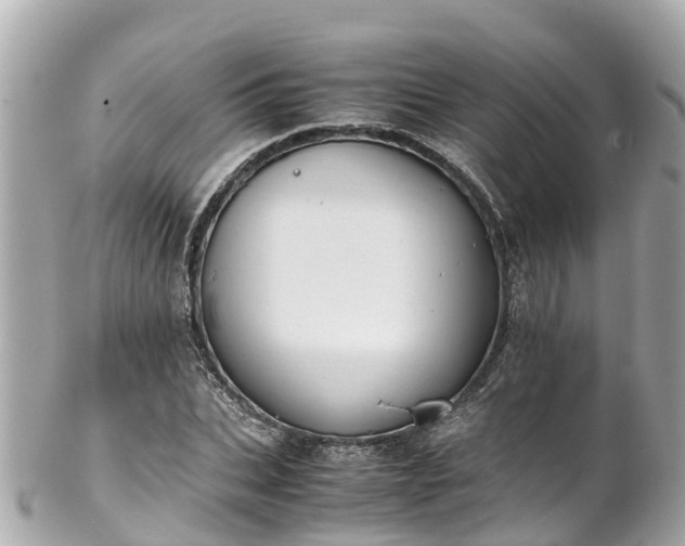 X0000102510927200808151542