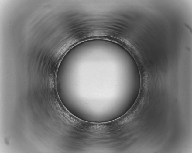 X0000102510929200808151542