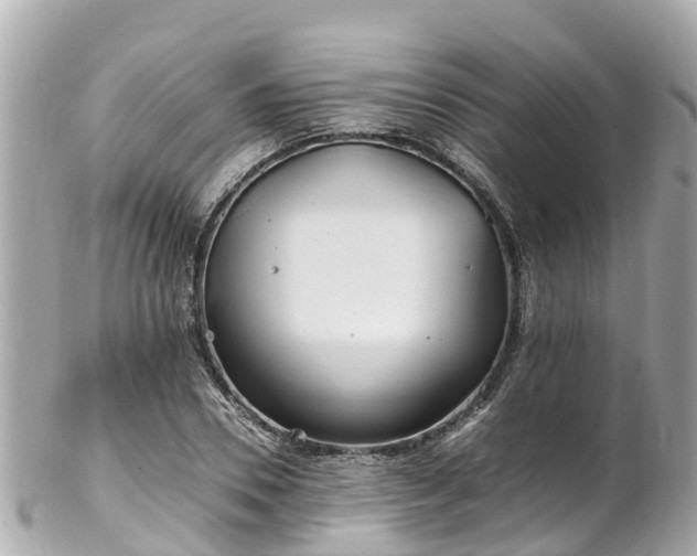 X0000102510930200808151542
