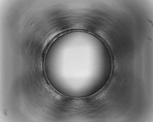 X0000102510931200808151543