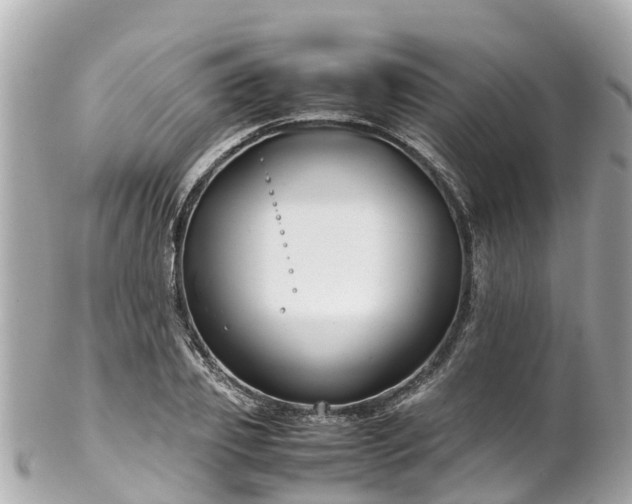 X0000102510933200808151543