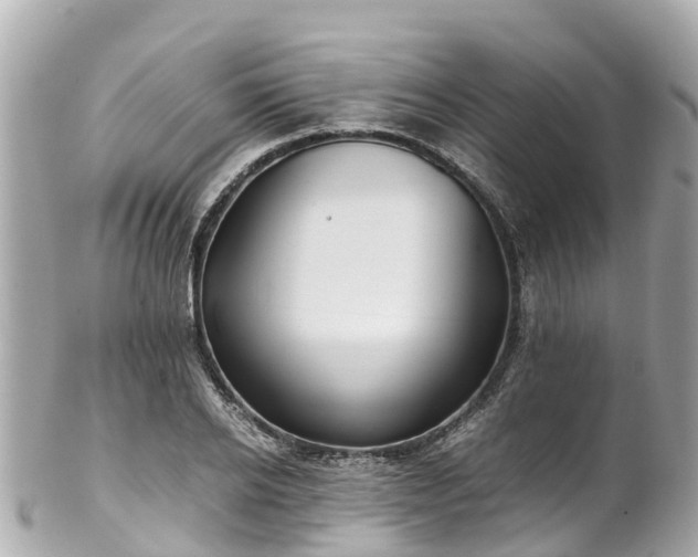 X0000102510934200808151543