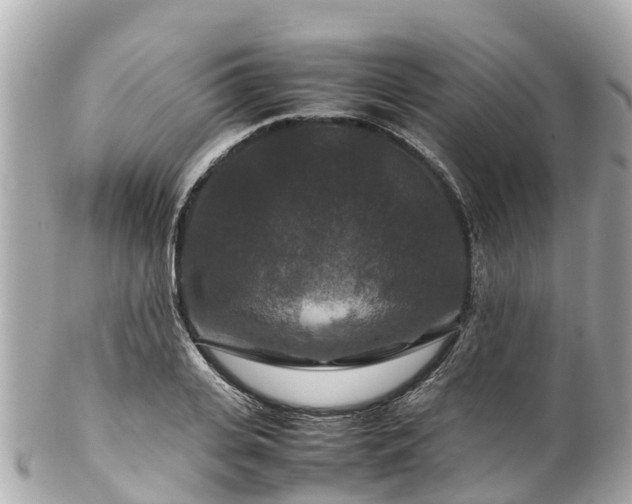 X0000102510935200808151543