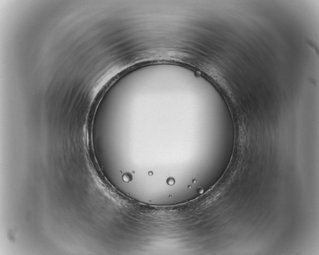 X0000102510936200808151543