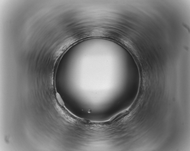 X0000102510938200808151543