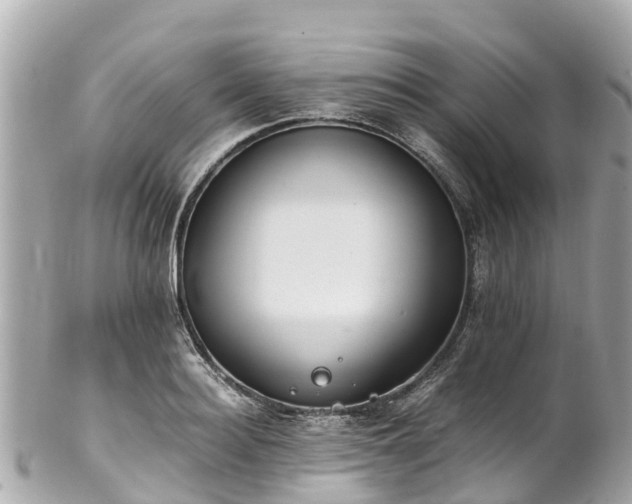 X0000102510940200808151543