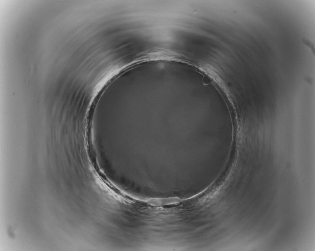 X0000102510941200808151543