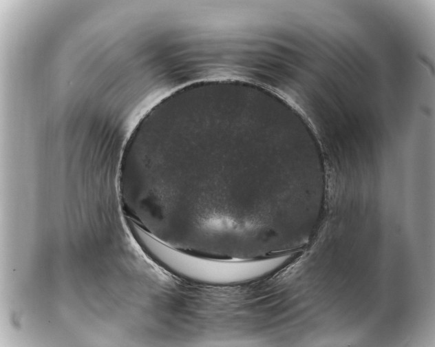 X0000102510943200808151543